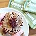 Square Organics Organic Protein Bar, Chocolate Coated Almond Spice (12 Count) 1.7 Oz, Gluten-Free Soy-Free Dairy-free Vegan High Protein