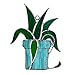 Switchables Spider Plant , Glass Cover