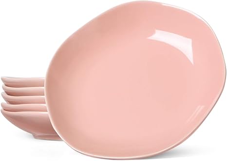 LE TAUCI Ceramic Dinner Plates 