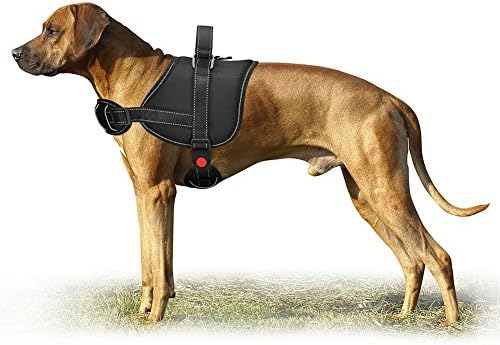 Cropal Dog Vest Harness, Padded Adjustable Vest with Reflective Oxford Material for Dogs Easy Control and Training for Small Medium Large Dogs -XL