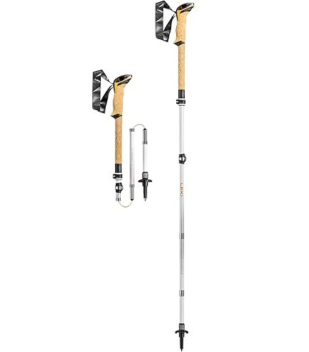 LEKI - LEKI クレシダ FX カーボン AS クレシダ FX カーボン AS | LEKI | レキ | 1300447_110WHT-好日