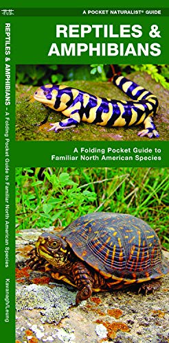 Reptiles & Amphibians: A Folding Pocket Guide to Familiar North American Species (Wildlife and Nature Identification)