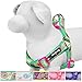 Blueberry Pet 5 Colors Soft & Comfy Step-in Paisley Flower Print Dog Harness, Chest Girth 15.5