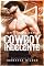 Livro Um acordo com o cowboy indecente