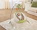 Fisher-Price Deluxe Cradle 'n Swing, Rainforest Friends