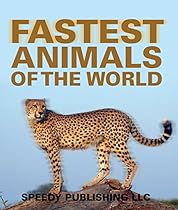 Nations Of South America: Fun Facts about South America for Kids