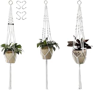 Cuerda de algodón suspensión de la Planta, Las cestas Colgantes