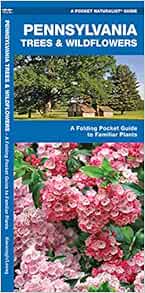 Pennsylvania Trees Wildflowers A Folding Pocket Guide To Familiar Plants Wildlife And Nature Identification Kavanagh James Waterford Press Leung Raymond 9781583554166 Amazon Com Books