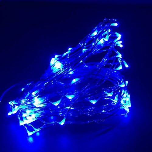 Kindlumi 10m/33Ft 100LEDs Indoor Outdoor Romantic Blue Decorative LED Silver Wire String Light with DC plug for Holiday Party Entertainment (BLUE)