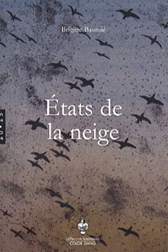 États de la neige