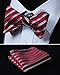 HISDERN 3pcs Mixed Design Classic Men's Self-Tie Bow tie & Pocket Square - Multiple Sets