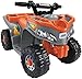 Power Wheels Kawasaki Lil' Quad