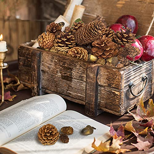 CHolic 72Pcs Pine Cone Set, Natural Pinecone Acorns Pine Cones Ornaments for Autumn and Winter Crafts Decorating, Christmas Decor, Bowl Vase Fillers