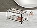 mDesign Traditional Fashion Jewelry and Cosmetic Organizer Tray for Bathroom Vanity Countertops - 2 Tiers, Bronze/Clear