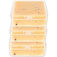 Travel Soap Container Square, Soap Box Holder Portable Storage Rack for Camping Shower Gym Outdoor Hiking Bathroom Square Soap Dish Elimeta (3Pack, Clear)