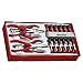 Teng Tools 16 Piece Mini Plier and Precision Screwdriver (Flat, Phillips, Torx) Set - TTMI16, Silver