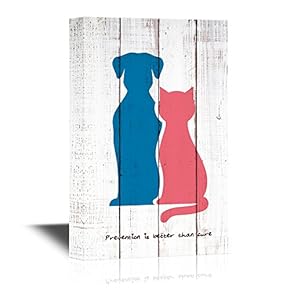 Vet Prevention is Better Than Cure Vet Concept