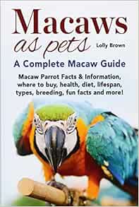 owning a macaw