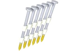 GRIP-RITE Grip Rite Prime Guard GR04HG1M 21 Degree Plastic Strip Round Head Hot Dipped Galvanized Collated Framing Nails, 2" x 0.113"