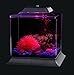 Koller Products 1.5-Gallon AquaScene Aquarium with LED Lighting