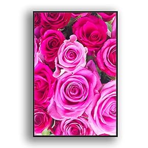 Framed Canvas Wall Art for Living Room, Bedroom Rose Closeup II Canvas Prints for Home Decoration Ready to Hang - 16x24 inches
