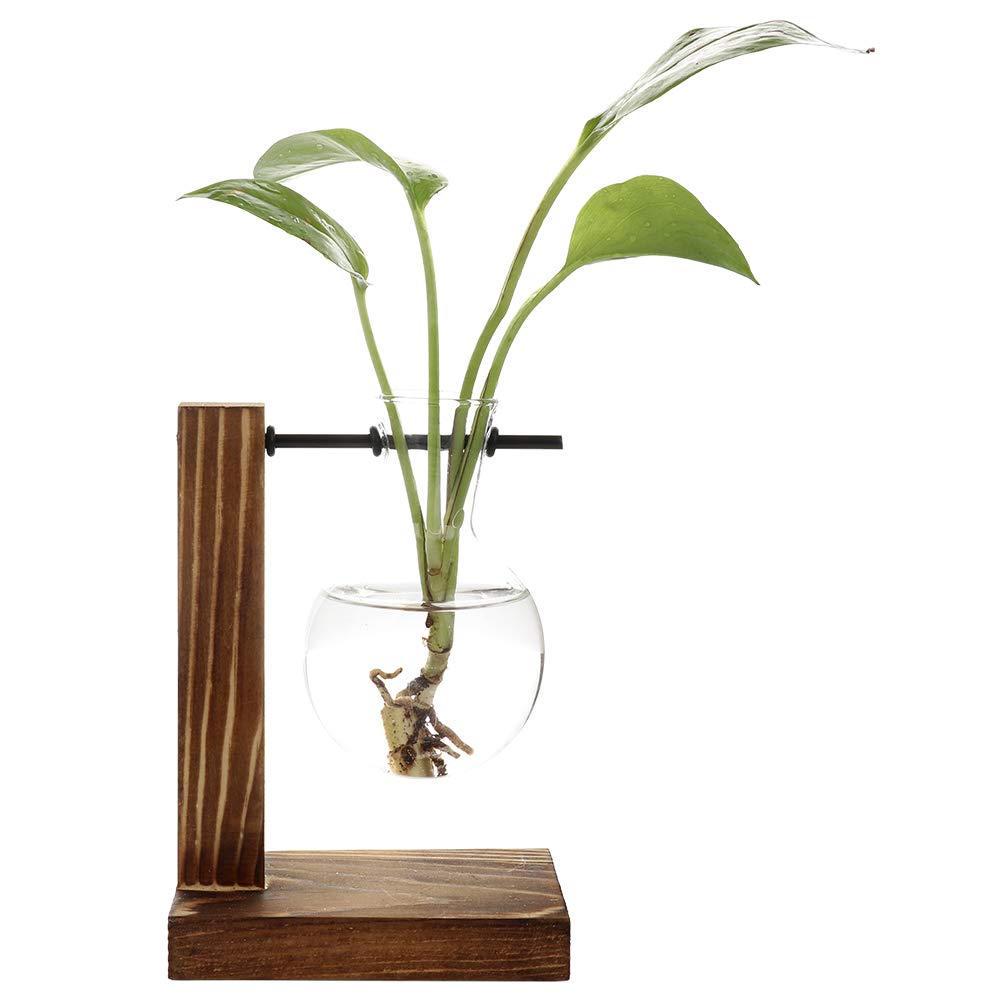 belupai Hydroponic Plant Vases Vintage Flower Pot Transparent Vase Wooden Frame Glass Tabletop Plants Home Bonsai Decor (A - 1 Bulb Vase)