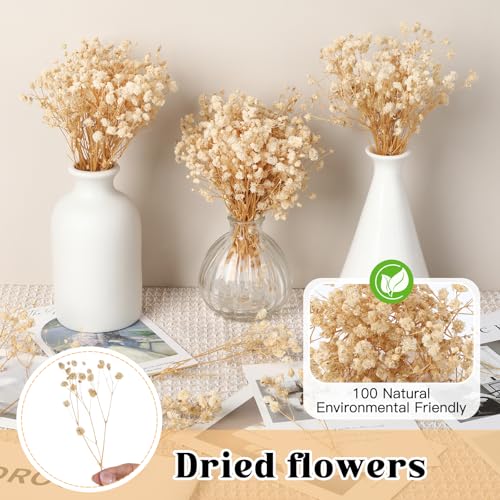 100 Pieces Dried Flowers, Natural Dried Flowers, Fade Resistant, Mini Dried Gypsophila for Botanical Specimens, Photo Frames, Nail Art (Champagne)