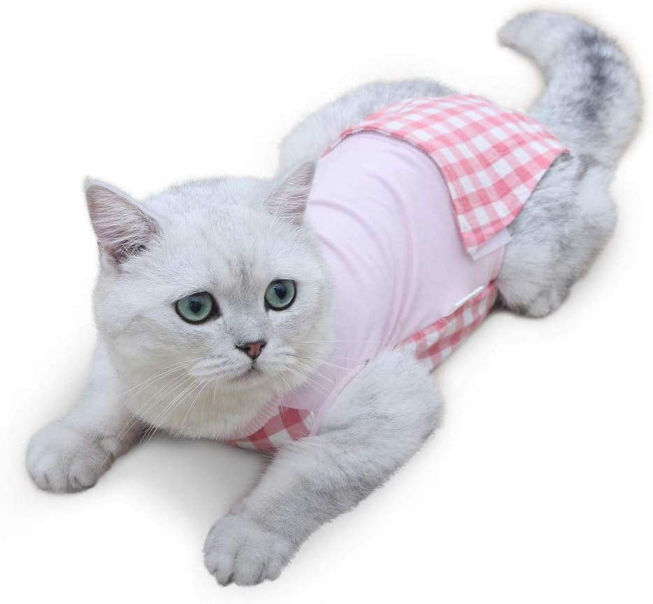 pets at home e collar