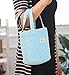 Franterd Waterproof Picnic Insulated Fashion Lunch Cooler Tote Bag Travel Organizer Box (Blue)
