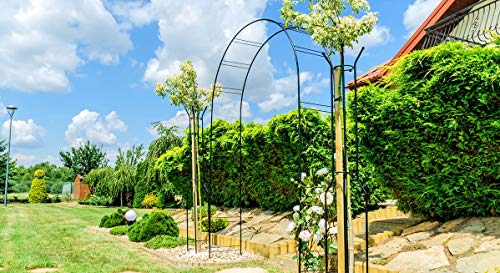 KADAX Rosenbogen, Gartenbogen für Kletterpflanzen, Rosen, Garten, Pergola, pulverbeschichteter Stahl, Gartenlaube, wetterfest, Rankhilfe, Torbogen, Spalier, Deko, Schwarz (40 x 150 x 256 cm) – Bild 7