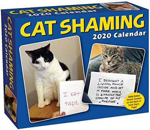 Cat Shaming 2020 Day-to-Day Calendar