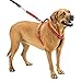 SPORN Ultimate Control No Pull Dog Harness for Large Dogs - 4-in-1 Adjustable L/XL Dog Harness with Front, Back & Dual-Clip Options & Emergency Grab Handle - Easy On/Off, Padded Comfort (Red, L/XL)