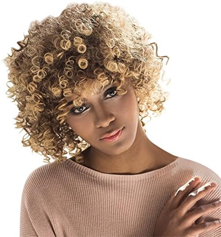 Aibelly Synthetic Full Wig Short Afro Curly Mixed Color Side Bang Towheaded Hair Wigs Fashion Noble Women's Parting Heat Resistant Replacement 14”