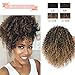 Vigorous Afro Kinky Curly Drawstring Ponytail Extension with Curly Ponytail Hair Piece for Black Women Ombre Blonde Synthetic Hairpiece(1-27#)