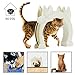 Slowton Cat Door, Pet Door for Cats Interior Door 2 Way Kitty Hole Shape Pass Fits Hollow Core Glass Solid Door for Cats up to 21lbs, Hidden Litter Box in Basement Laundry Room Easy to Install