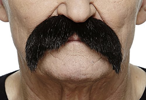 Walrus mustache