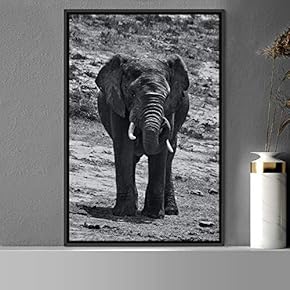 signwin Framed Canvas Wall Art Duotone Elephants Animals...