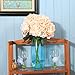 Luyue 5 Big Heads Artificial Silk Hydrangea Bouquet Fake Flowers Arrangement Home Wedding decor (Champagne)