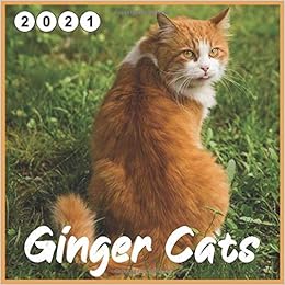 ginger cat calendar 2021 Ginger Cats 2021 Wall Office Calendar 16 Monthe Amazon Co Uk Cats Calendar 2021 Ginger 9798641123622 Books ginger cat calendar 2021