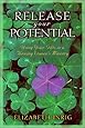 Release Your Potential: Using Your Gifts in a Thriving Womens Ministry ...