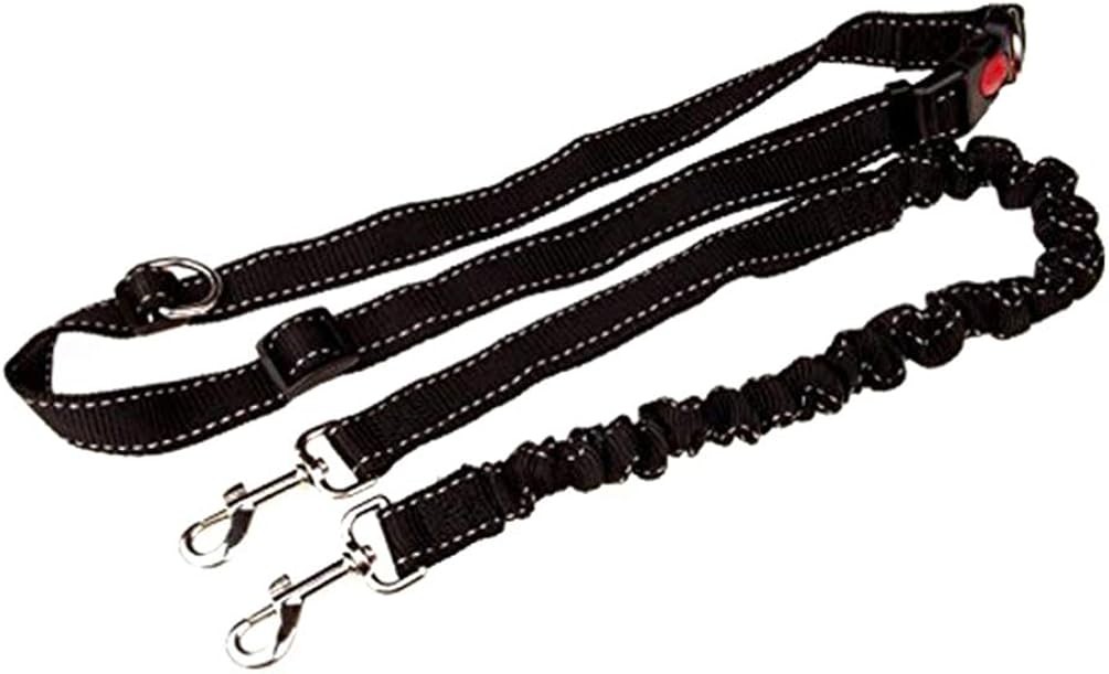 PRETYZOOM Attache de Chien Attaches de Laisse Violettes pour L