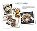 lcfun Lion Mane Costume for Cat Puppy - Pet Wig with Ears, Cat Clothes for Halloween Party