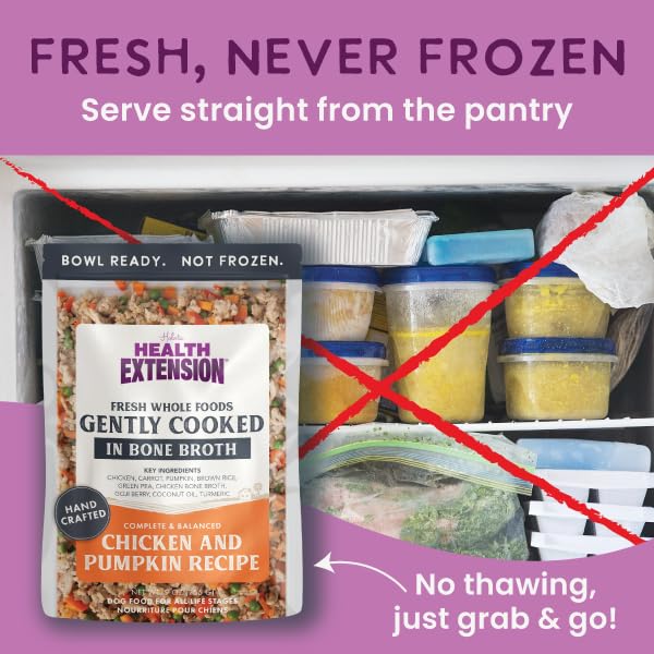 HEALTH EXTENSION GENTLY COOKED CHICKEN & PUMPKIN DOG FOOD, HUMAN-GRADE & SHELF-STABLE WITH SUPERFOODS, SUPPORTS DIGESTION, IMMUNITY, SKIN & COAT, 3 OZ POUCH (PACK OF 10)
