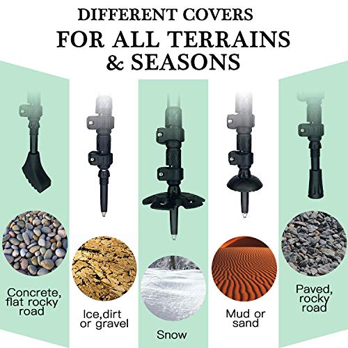 EJG Trekking Poles - 2 Packs/Set | Hiking Poles | Ski Poles | Walking Stick | Walking Poles | Nordic Walking Poles, Quick Lock System, Telescopic(25"-52"), Collapsible
