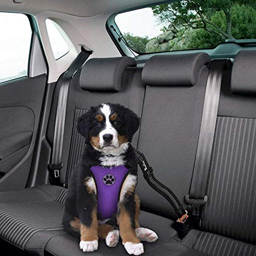 Slowton Dog Car Harness Plus Connector Strap, Multifunction Adjustable