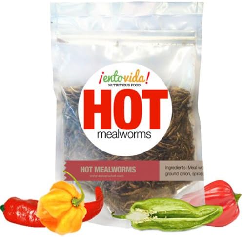 Edible Insects | HOT Mealworms