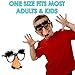 Dazzling Toys Classic Disguise | Great Party Favor| Disguise Glasses with Funny Nose, Eyebrows & Mustache Glasses | Pack of 12 | Manufactured