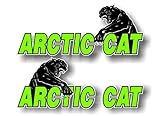 2 Arctic CAT Swiping 9
