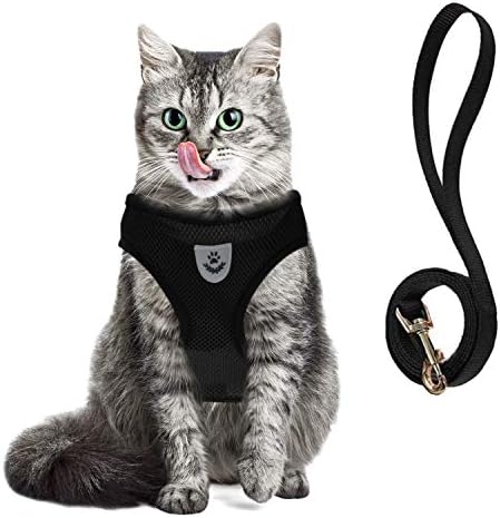 Lenlorry Cat Harness and Leash for Walking Escape Proof, Adjustable Step-in Vest Harness and Leash Set Travel Outdoor Breathable Mesh Jacket for Small Medium Large Pet Cat Kitten Puppy