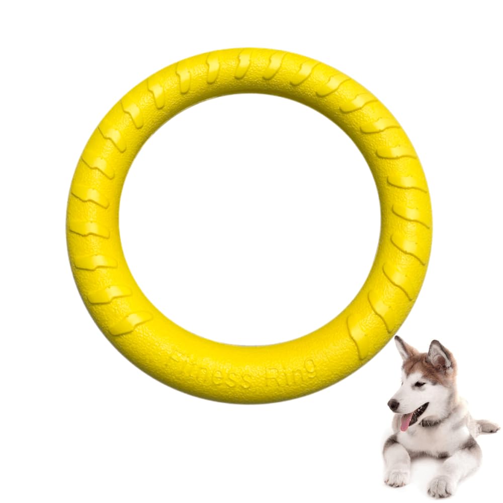 JINRETUTE Fly Ring Toy Fitness Ring Floating Flying Disc Toys Outdoor Durable Chew Toys for Training Playing Puppy Medium Large Dogs (D28)